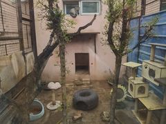 -青藏高原野生动物园