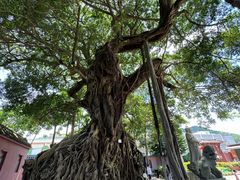 -闽粤南澳总镇府