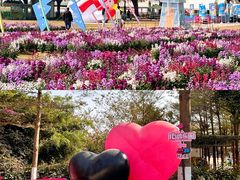 -盈香心动乐园