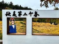 -塔川景区