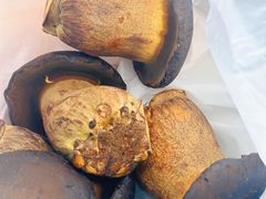 -云南木水花野生菌交易中心