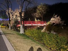 -羊山湖公园
