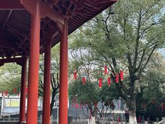 -绳金塔