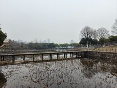 -月湖风景区