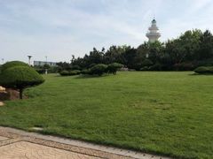 -渡海小渔村.老辈日照菜