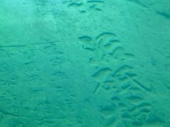 -白鹤梁水下博物馆