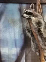 -酷嗒动物文化乐园(cutezoo西溪乐天城店)