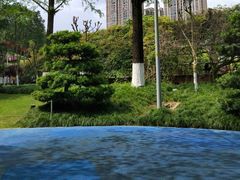 -龙头寺公园