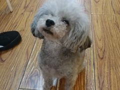 -志龙皇冠吃货椰子铺