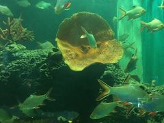 -石家庄海洋公园
