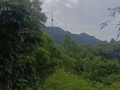 -大雁山风景区
