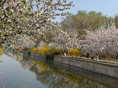 -元大都城垣遗址公园