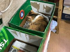 -坤记煲仔小菜(西环店)