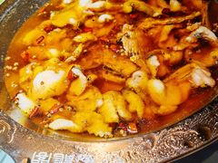 -雲蜀龙阁·金牌水煮鱼(方庄店)