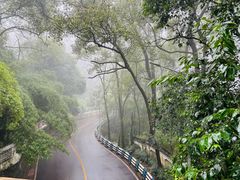 -南山植物园