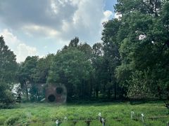 -野蔓果·山野菜(西湖景区·龙井茶田店)