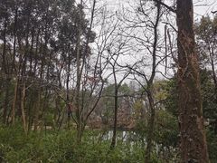 -张鸟园农家乐(张鸟园店)