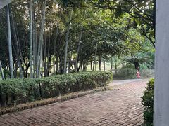 -故乡缘·香格里拉山庄(冷竹路店)
