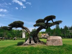 -东平国家森林公园