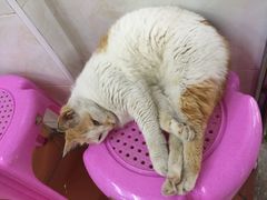 -非遗·爱西干面(小公园总店)