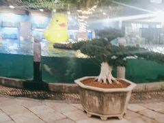 -天怡·鱼工厂(临江店)