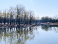 -东郊湿地公园