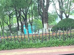 -合肥滨湖国家森林公园