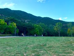 -北京西山国家森林公园