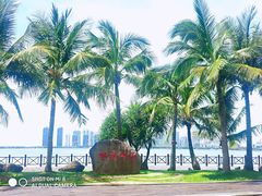 -万绿园