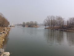 -马家湾湿地公园