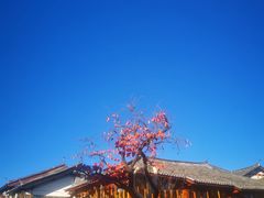 -木王宴语·野生鲜菌火锅(玉河店)