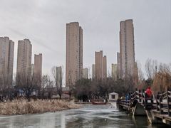 -前关湿地公园