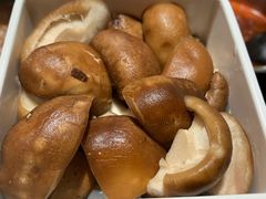 香菇-汤岛涮小火锅(温州龙湾万达店)