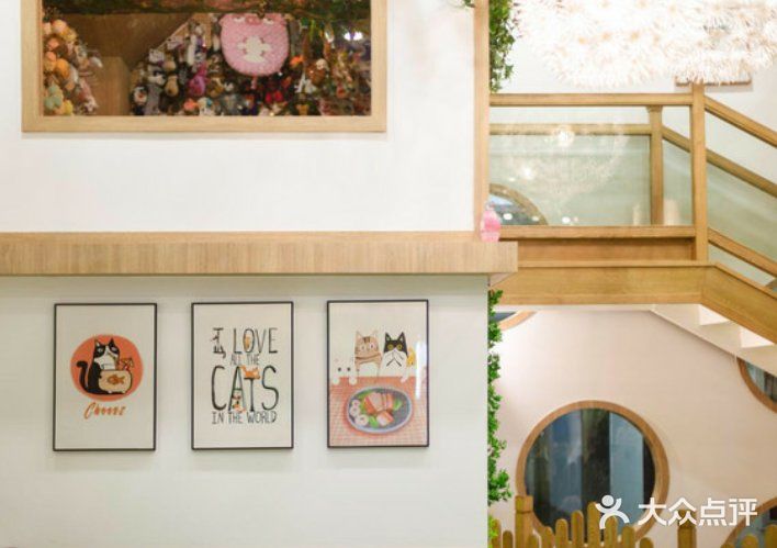 夏日遛娃好去处––宠物主题体验馆！