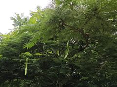 -东澳岛