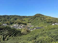 -西湖风景区十里琅珰-五云山
