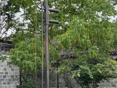 -慈城古县城景区