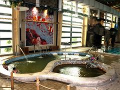 -南宫温泉水世界