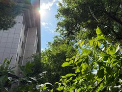 -Santoor 萨都里印度餐厅(北锣鼓巷店)