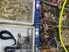 -霞涌市场海鲜摆卖区