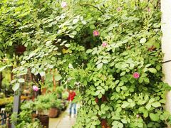 -谷咖啡·鲜花绿植花园餐厅