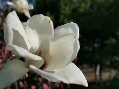 -国家图书馆·古籍馆