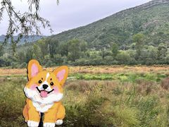 -百里山水画廊