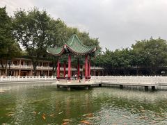 -广东圆玄道观