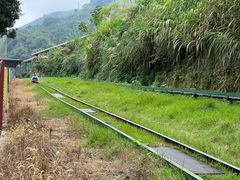 -长沙黑麋峰国家森林公园