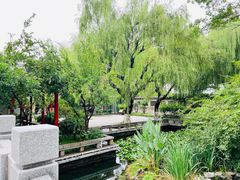 -济南大明湖景区