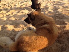 iphone_upload_pic-白沙湾海滩