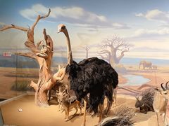 -陕西自然博物馆