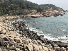 -广东惠东海龟国家级自然保护区