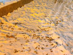 -东方之珠洗浴休闲广场(和平店)